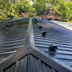 Black metal roof, freshly installed. Daylight illuminates trees in the background.